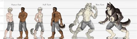 werecat vs werewolf|Werewolf Vs. Werecat transformation